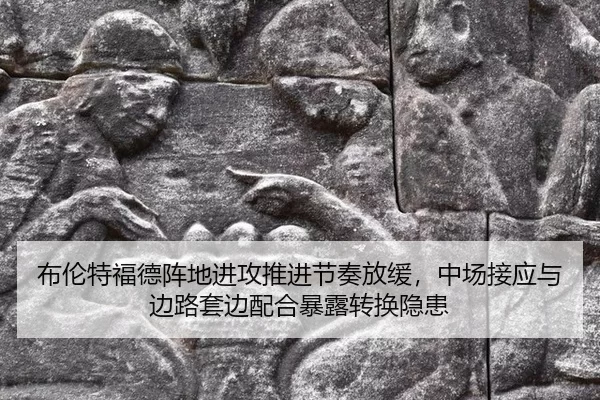 bu-lun-te-fu-de-zhen-di-jin-gong-tui-jin-jie-zou-fang-huan-zhong-chang-jie-ying-yu-bian-lu-tao-bian-pei-he-bao-lu-zhuan-2-819.jpg